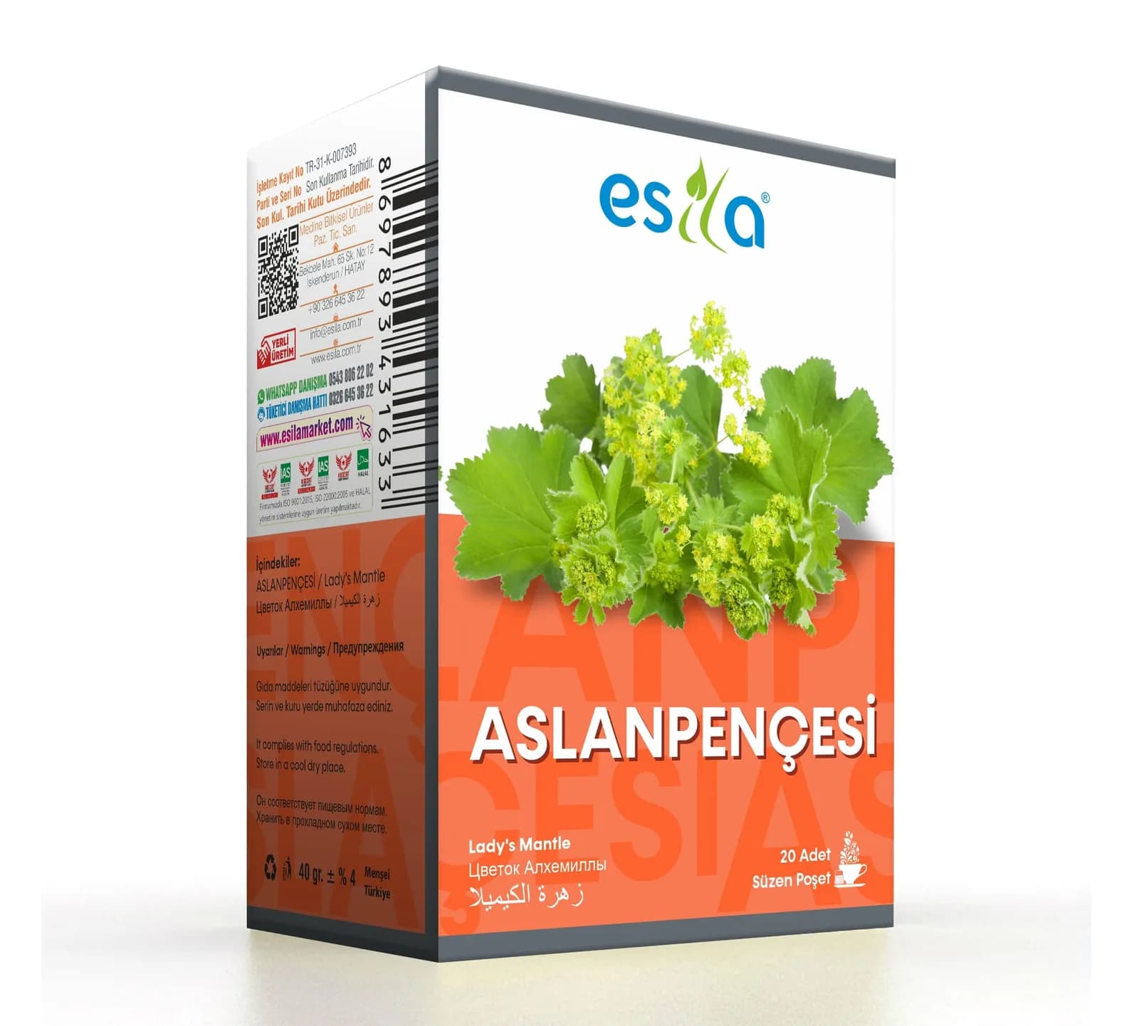 Aslanpançesi Çayı
