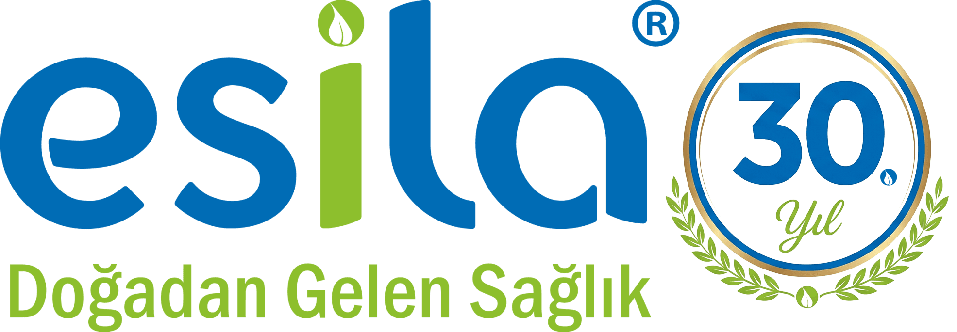 30. yıl