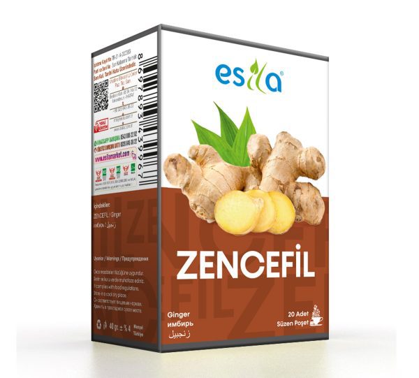 zencefil